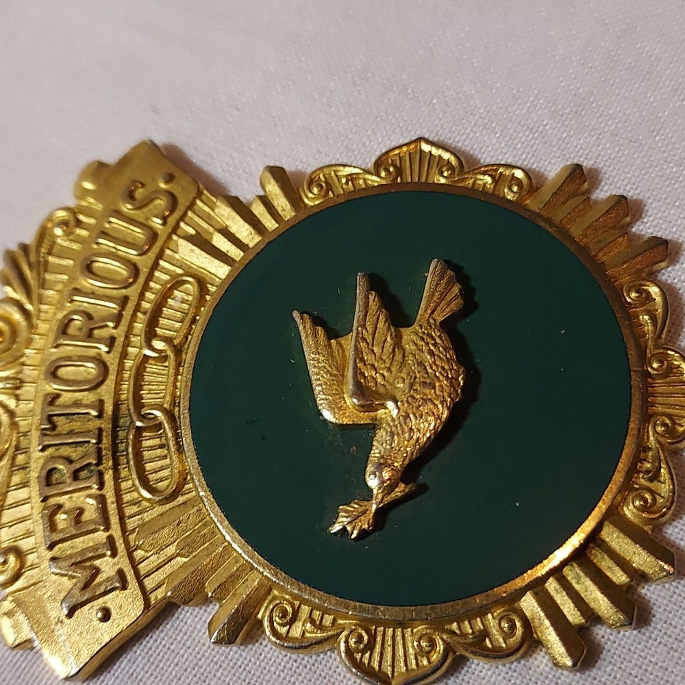 Independent Order of Odd Fellows Rebekah Meritorious Service Jewel Highest Award